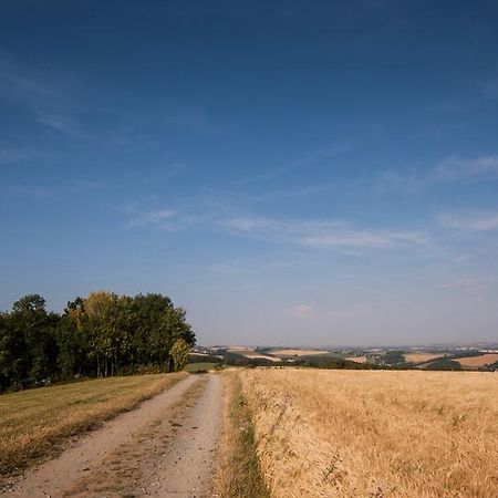Landgasthof Dittersdorfer Hoehe Amtsberg エクステリア 写真
