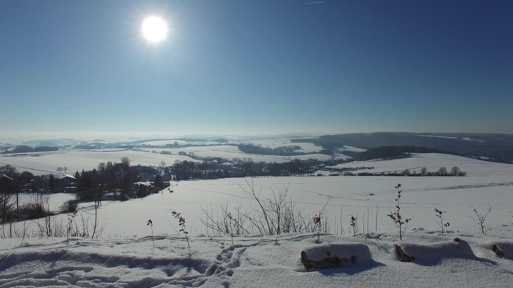 Landgasthof Dittersdorfer Hoehe Amtsberg エクステリア 写真
