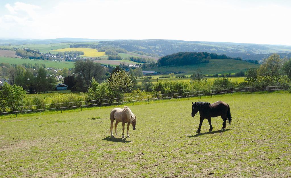 Landgasthof Dittersdorfer Hoehe Amtsberg エクステリア 写真
