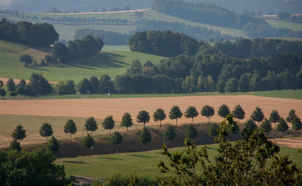 Landgasthof Dittersdorfer Hoehe Amtsberg エクステリア 写真