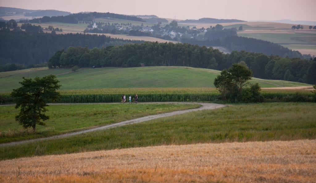 Landgasthof Dittersdorfer Hoehe Amtsberg エクステリア 写真
