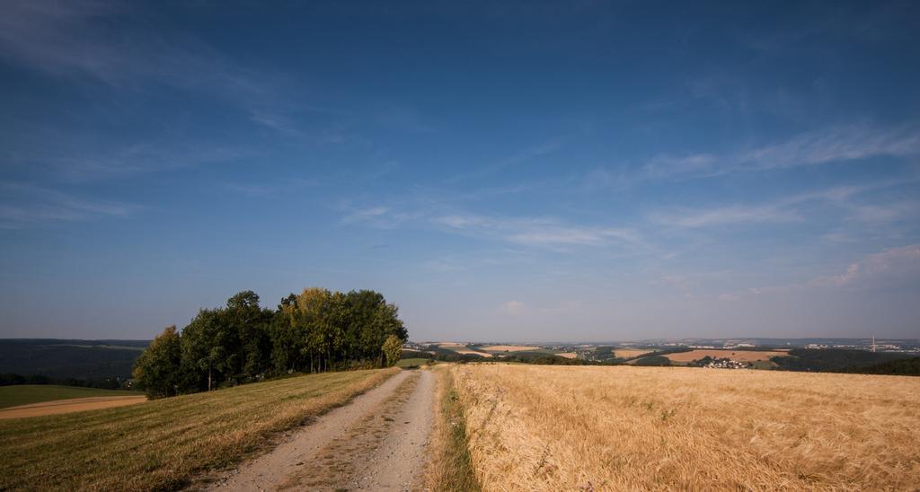 Landgasthof Dittersdorfer Hoehe Amtsberg エクステリア 写真